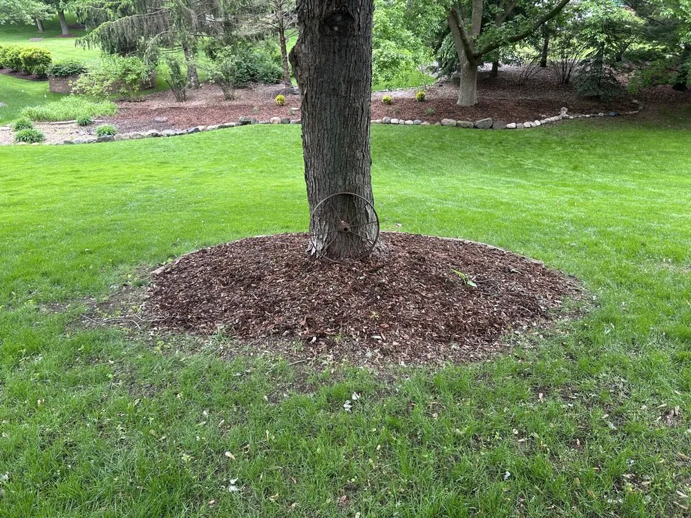 Professional landscape installation for beautiful yards in Minneapolis, MN by Lang Landscaping