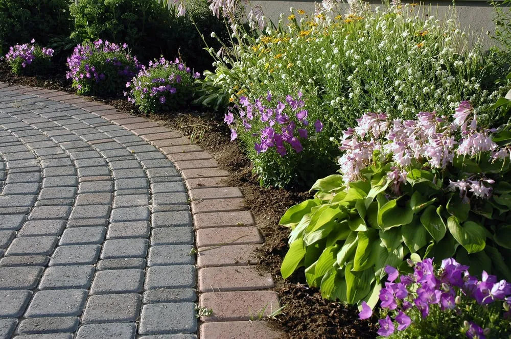 Top-rated lawn care service in Killingworth, CT - Langer Landscapes