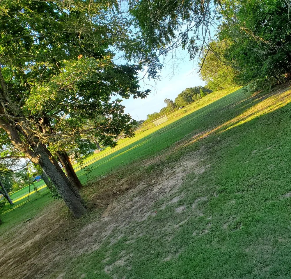 Custom yard maintenance for beautiful yards across Malakoff, TX - Langfords Yard Service