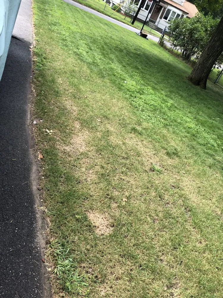 Reliable lawn care service near you across Wilmington, MA - Langone Bros Landscaping