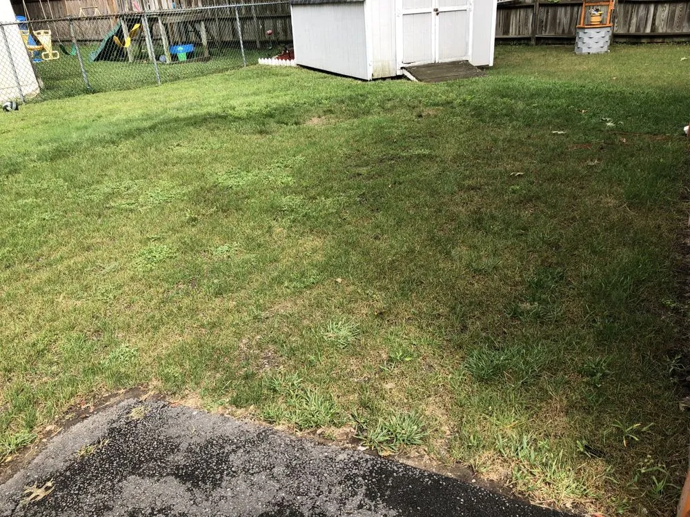 Custom landscaping services in Wilmington, MA by Langone Bros Landscaping