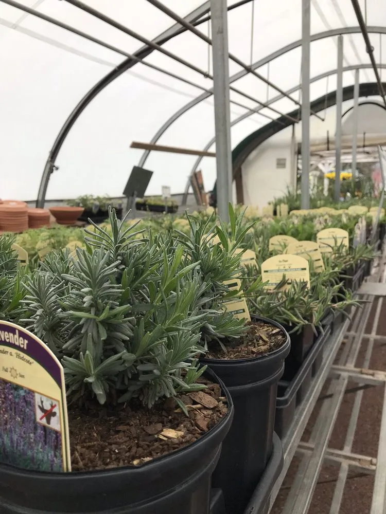 Affordable yard maintenance experts serving Linwood, NJ - Lang's Garden