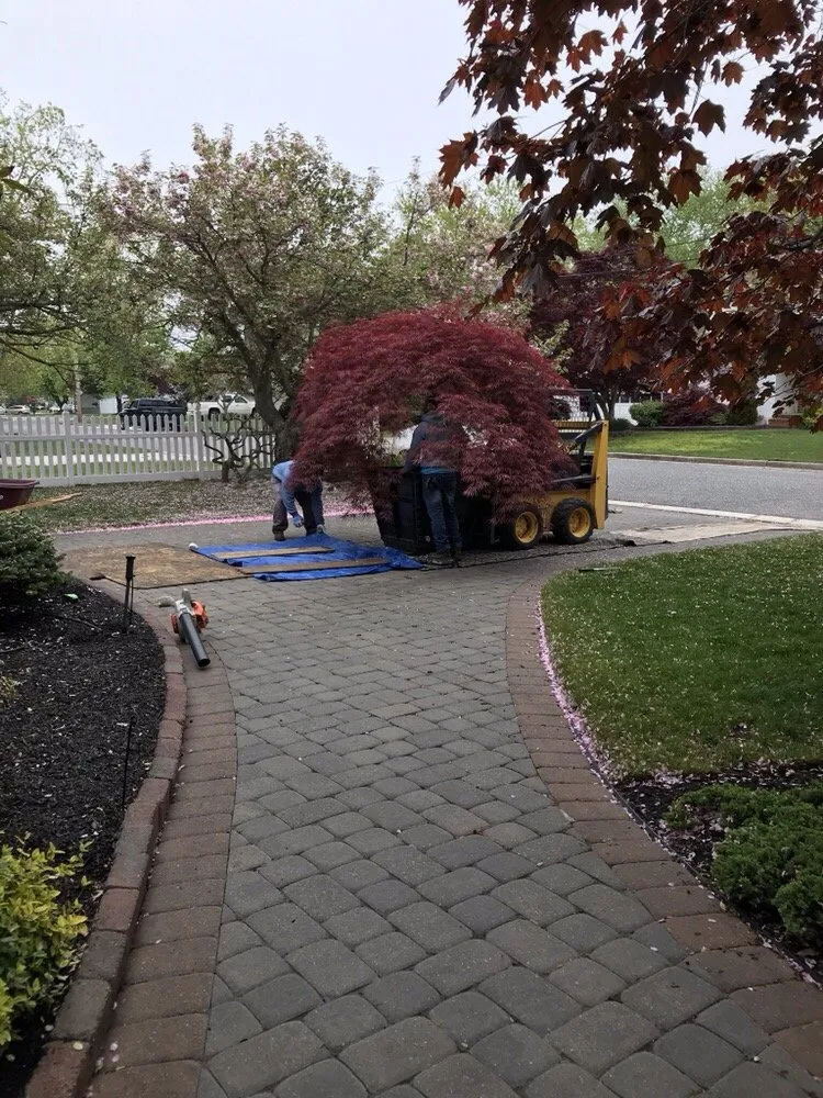 Top-rated residential landscaping in Linwood, NJ - Lang's Garden