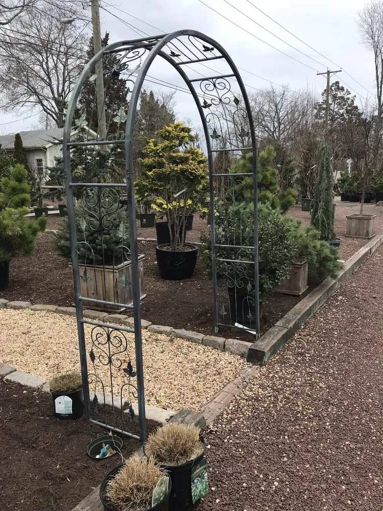 Top-rated garden landscaping in Linwood, NJ - Lang's Garden