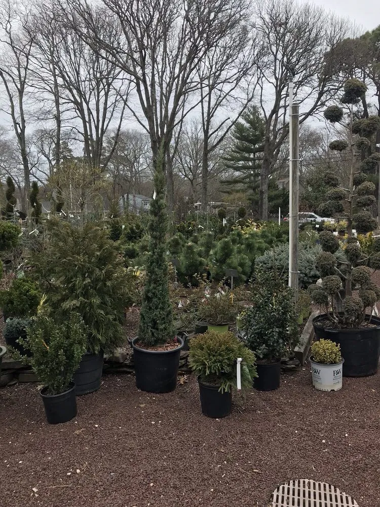 Top-rated lawn care service in Linwood, NJ by Lang's Garden