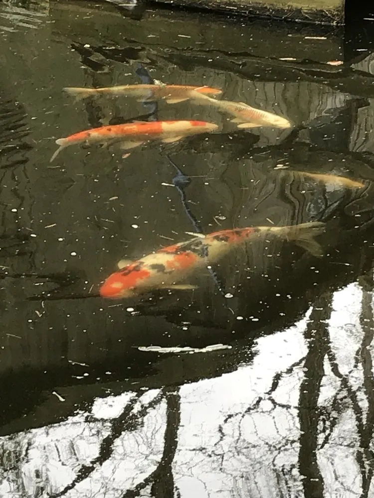 Trusted outdoor landscaping for homes across Linwood, NJ - Lang's Garden