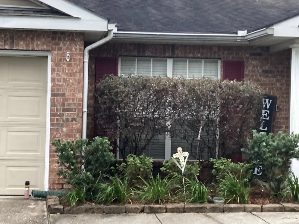 Reliable yard maintenance in Baton Rouge, LA by Langs Lawn and Landscape