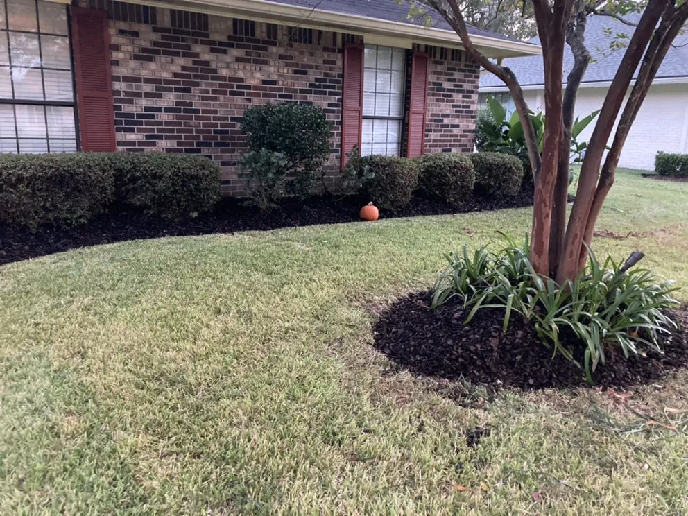 Custom landscape design experts serving Baton Rouge, LA - Langs Lawn and Landscape