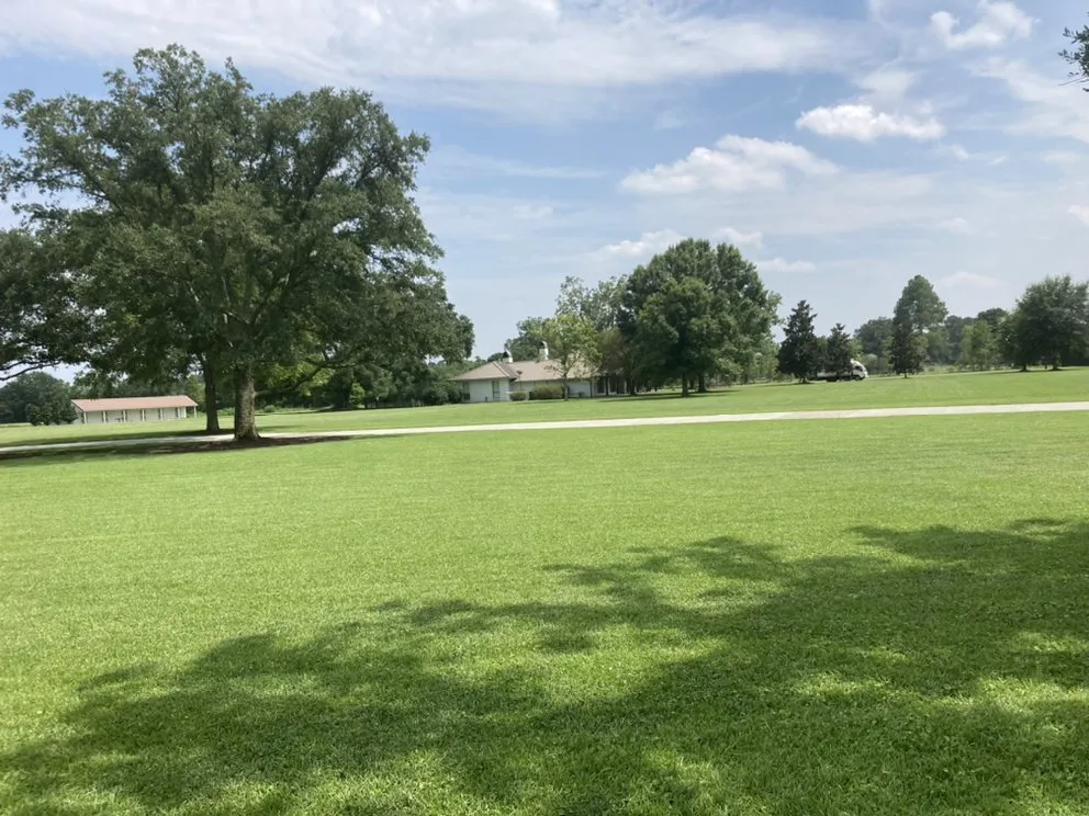 Expert lawn mowing service in Baton Rouge, LA by Langs Lawn and Landscape