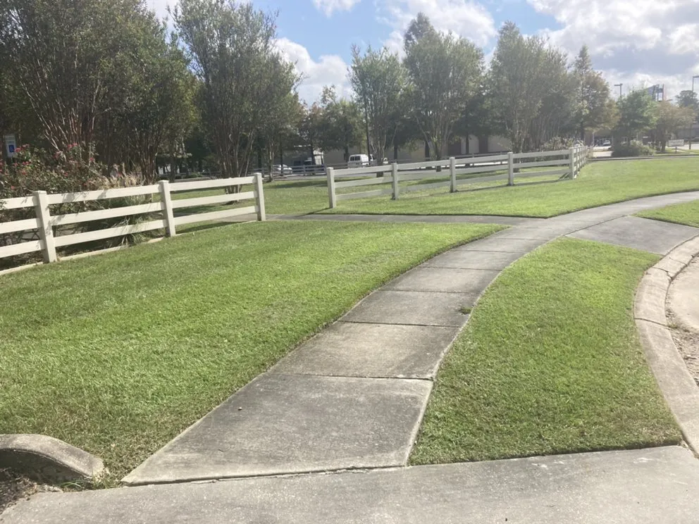 Expert landscape design experts serving Baton Rouge, LA - Langs Lawn and Landscape