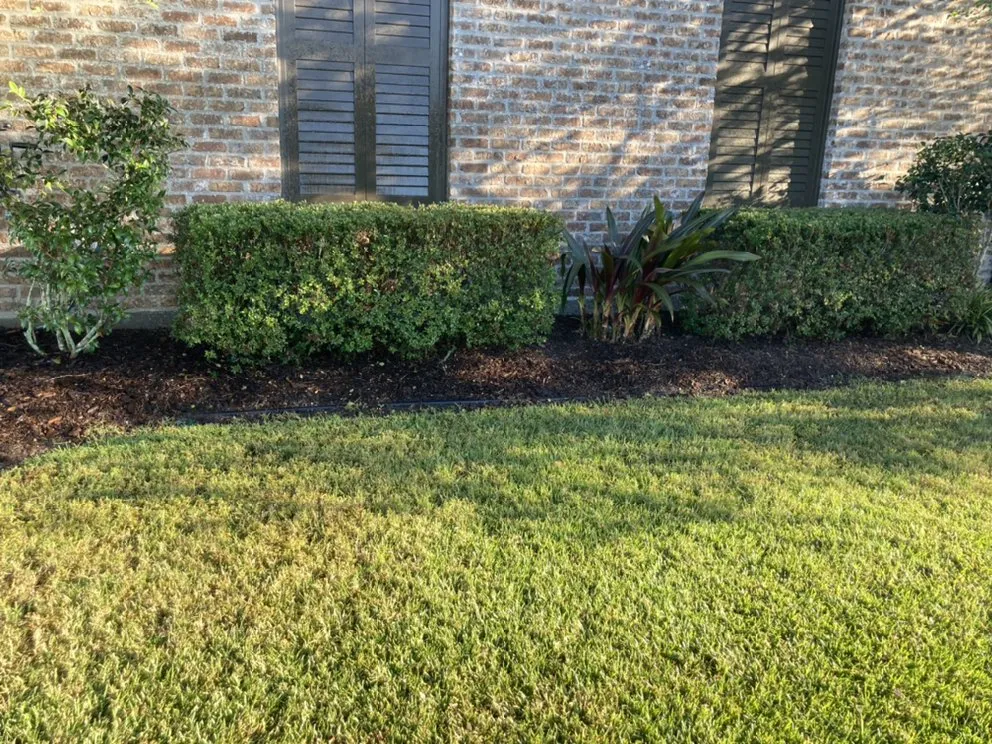 Top-rated lawn care service for beautiful yards across Baton Rouge, LA - Langs Lawn and Landscape