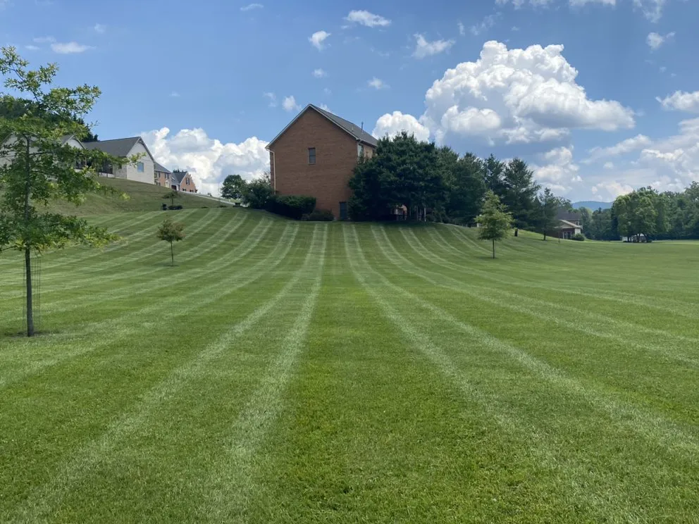 Affordable yard cleanup service experts serving Roanoke, VA - Lang’s Lawn Care