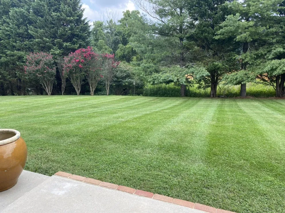 Expert lawn care service in Roanoke, VA - Lang’s Lawn Care