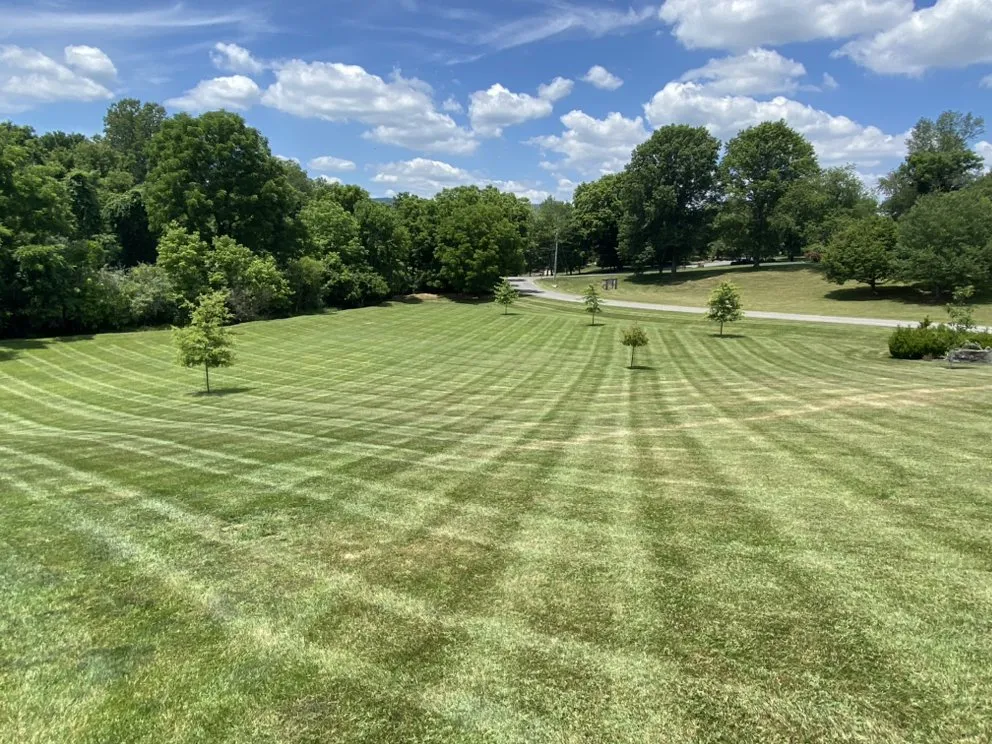 Top-rated lawn care service for homes across Roanoke, VA - Lang’s Lawn Care