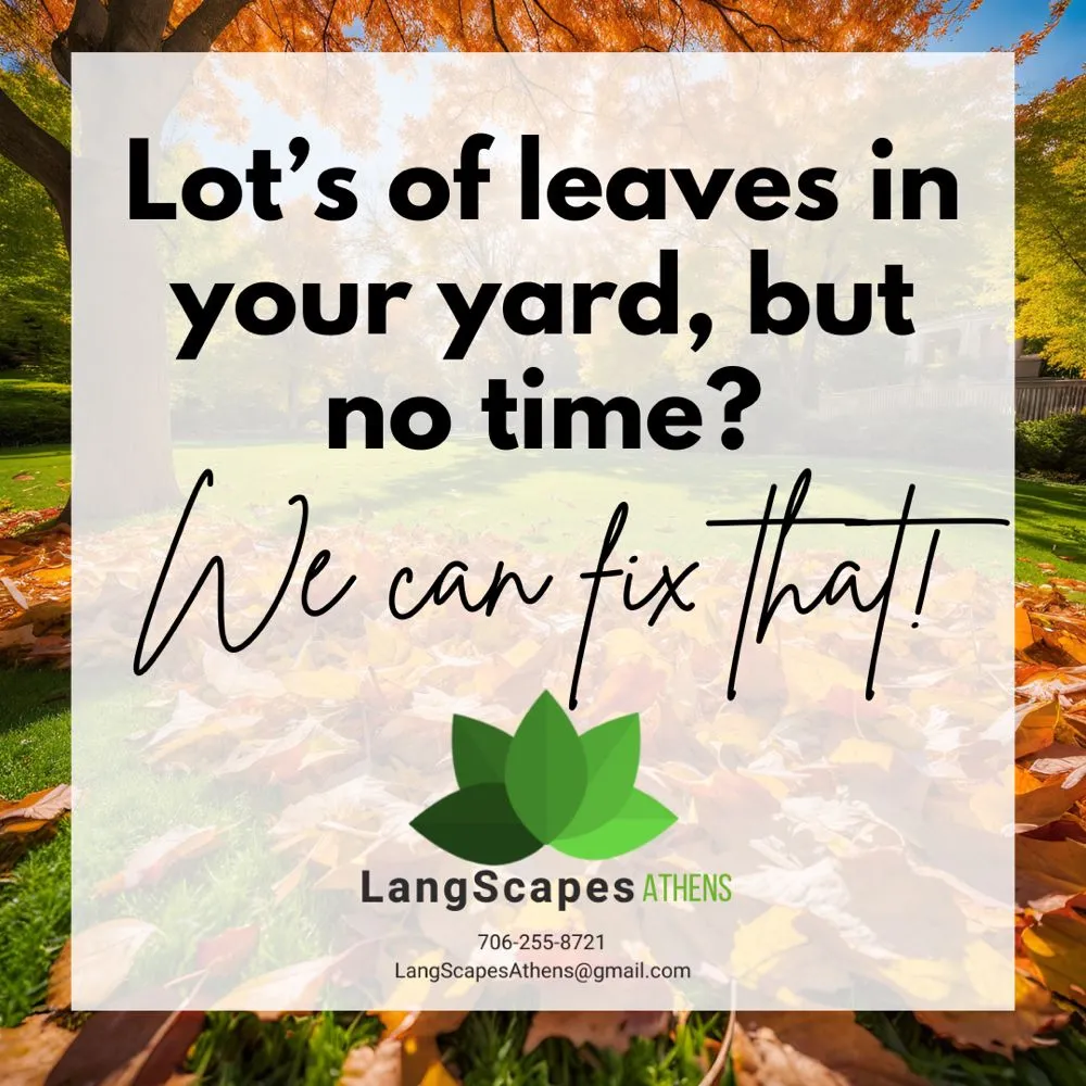 Reliable lawn care service experts serving Winterville, GA - LangScapes Athens