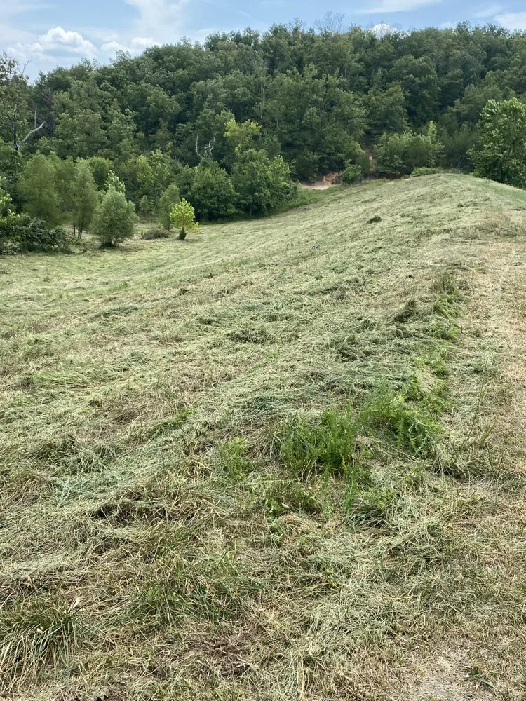 Affordable residential landscaping in Jonesboro, AR by Langston Dirt Worx