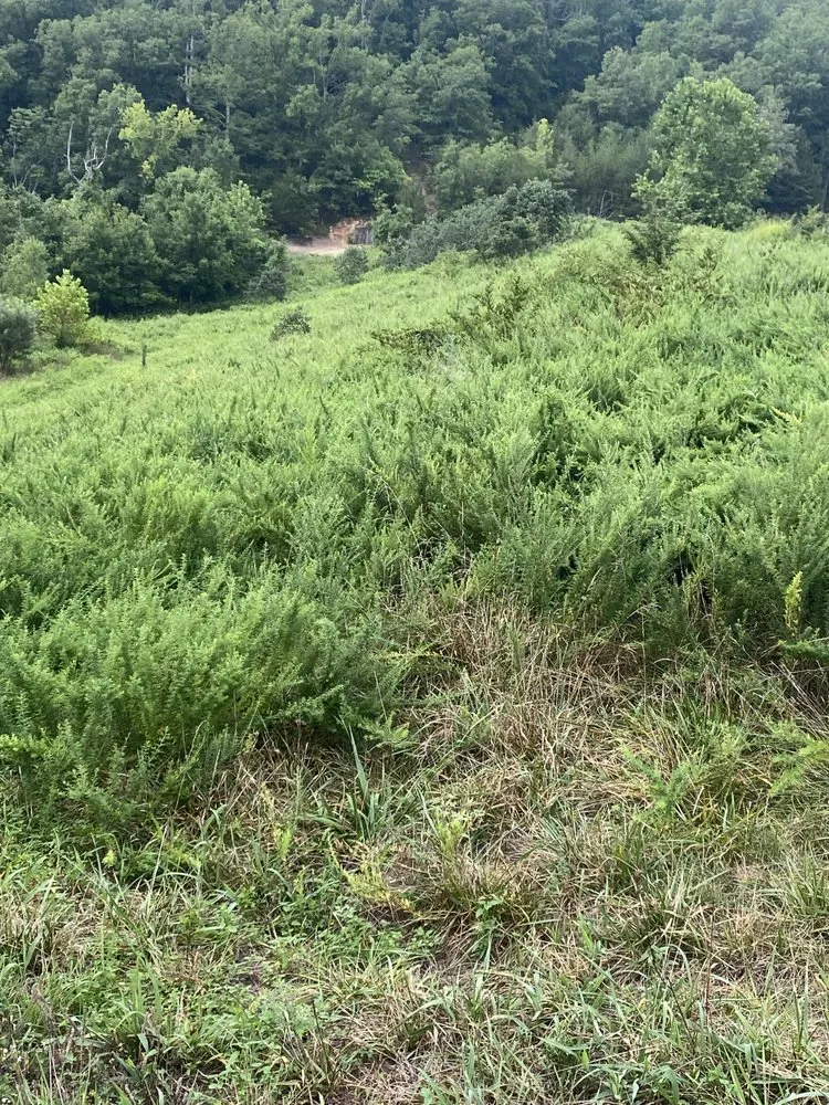 Custom residential landscaping near you in Jonesboro, AR by Langston Dirt Worx