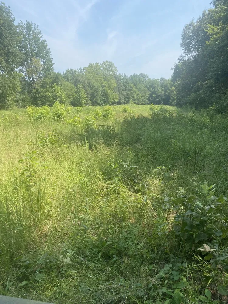 Expert garden landscaping in Jonesboro, AR by Langston Dirt Worx