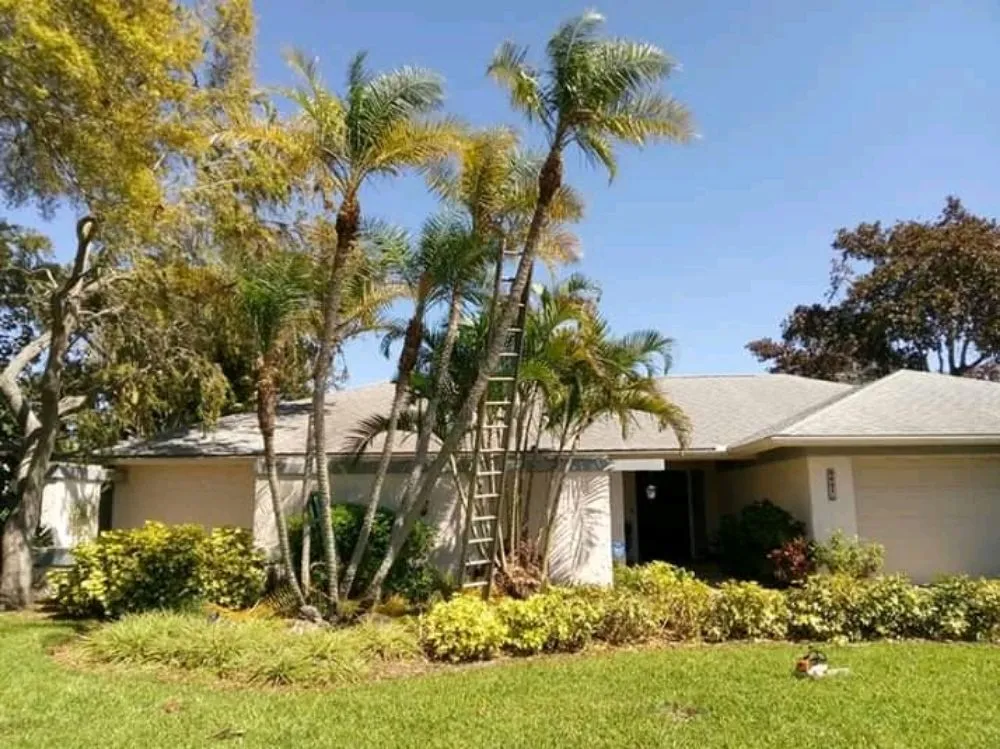 Expert landscape installation for beautiful yards across Saint Petersburg, FL - Langstons Lawn Care