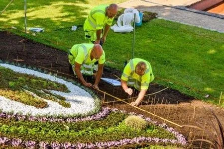 Custom landscaping services in Woodstock, IL - Langton Group