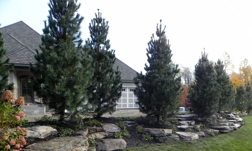Reliable outdoor landscaping in Willoughby, OH - Lanhan Landscaping & Design