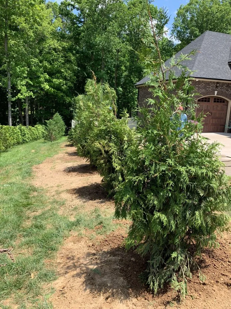 Custom yard cleanup service in Clarksville, TN - Lanier Lawn & Landscaping