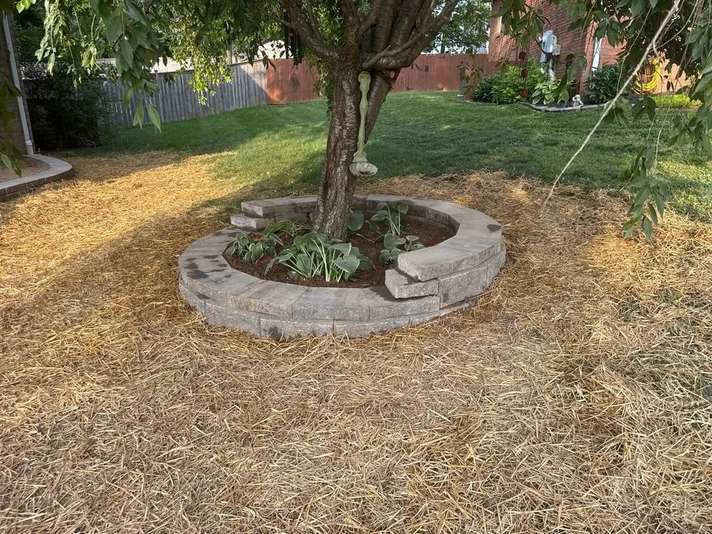 Reliable yard maintenance in Clarksville, TN - Lanier Lawn & Landscaping