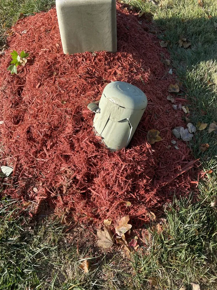 Top-rated yard cleanup service in Mount Holly, NC - Lanier Material Sales