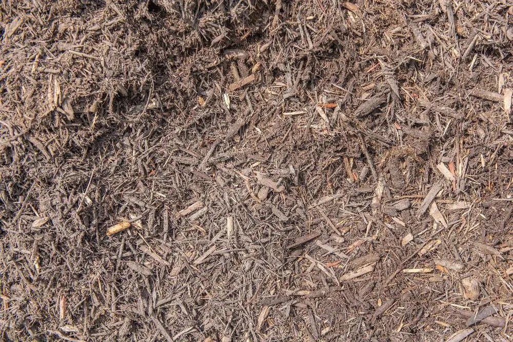 Expert residential landscaping experts serving Pineville, NC - Lanier Material Sales