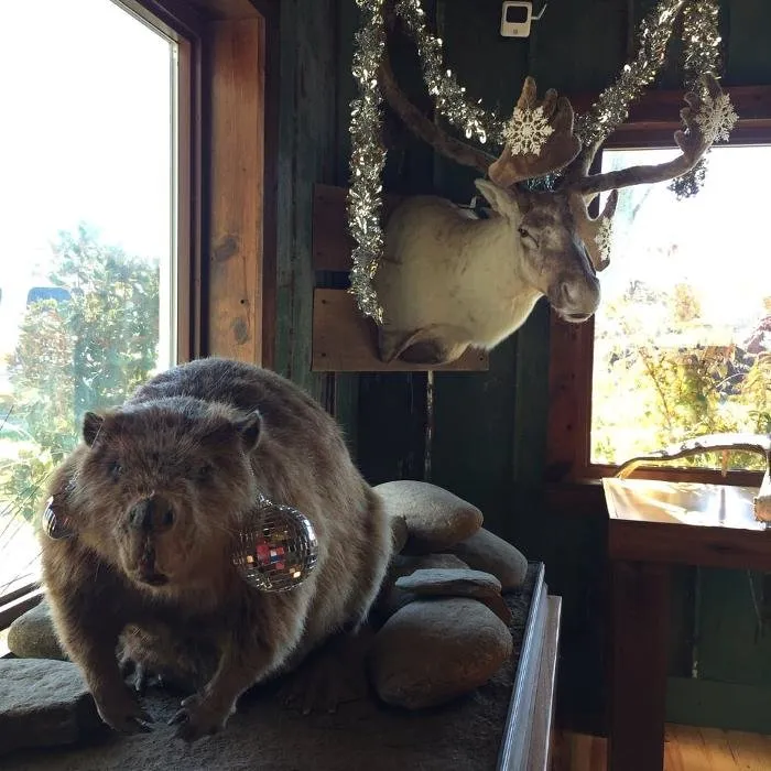 Custom landscape design experts serving Pineville, NC - Lanier Material Sales