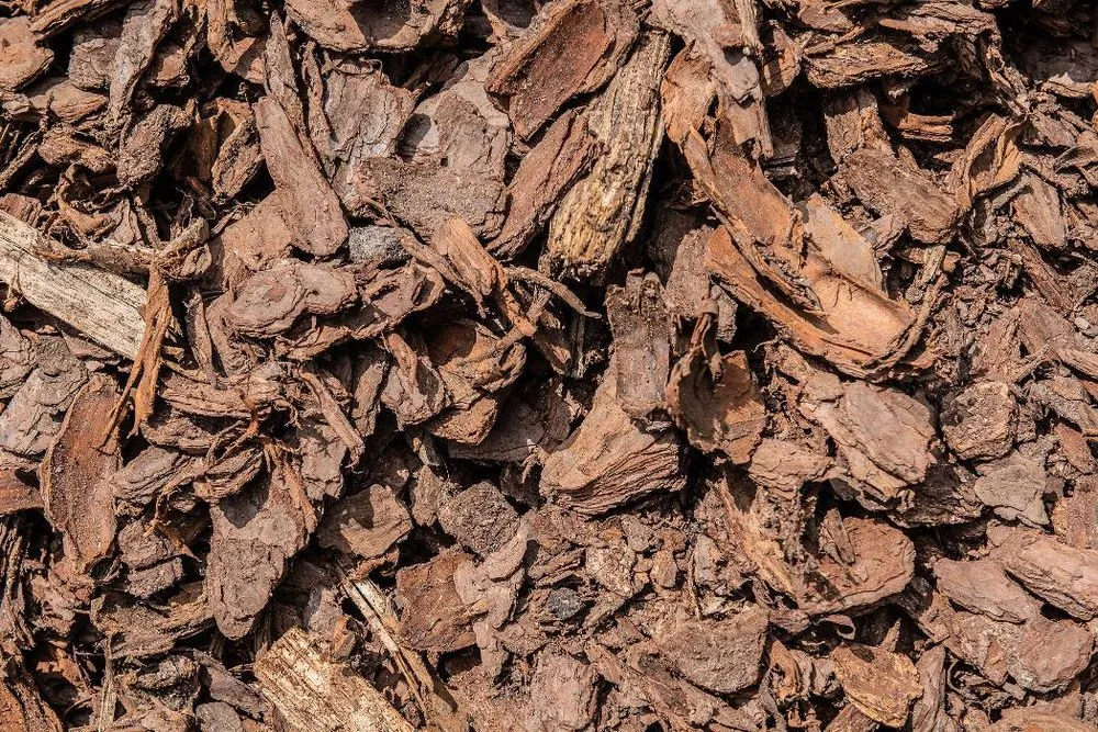 Professional yard cleanup service in Pineville, NC - Lanier Material Sales