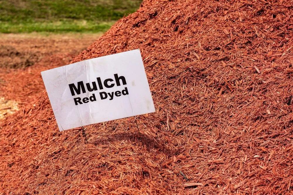 Expert yard cleanup service near you in Pineville, NC by Lanier Material Sales