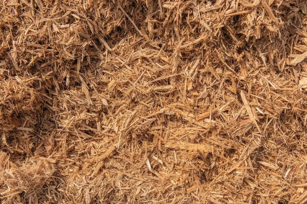 Reliable residential landscaping for beautiful yards across Pineville, NC - Lanier Material Sales