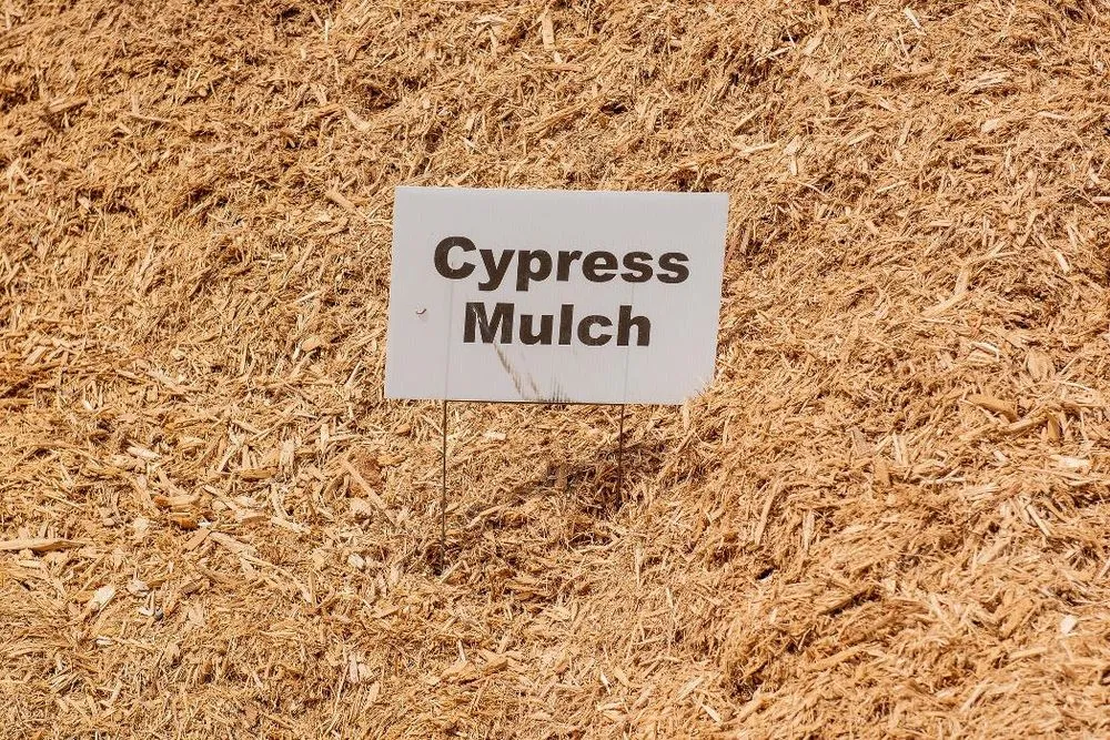 Affordable yard cleanup service with custom design across Pineville, NC - Lanier Material Sales