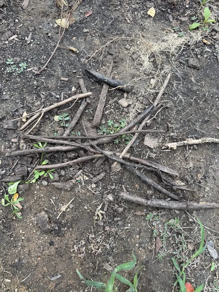 Top-rated residential landscaping for year-round maintenance in Flowery Branch, GA by Lanier Nursery And Gardens