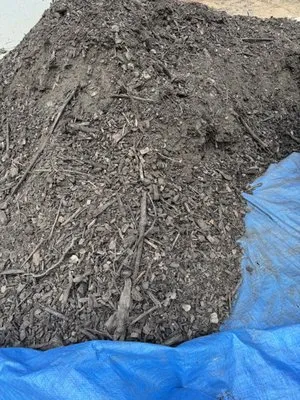 Lanier Nursery And Gardens