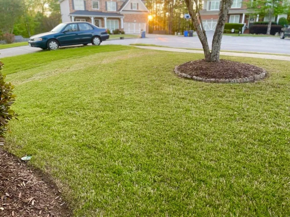 Trusted lawn care service in Buford, GA - Lanier South Lawn Care