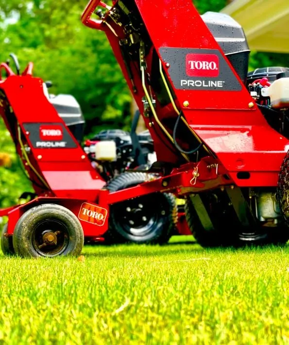 Reliable landscaping services in Buford, GA - Lanier South Lawn Care