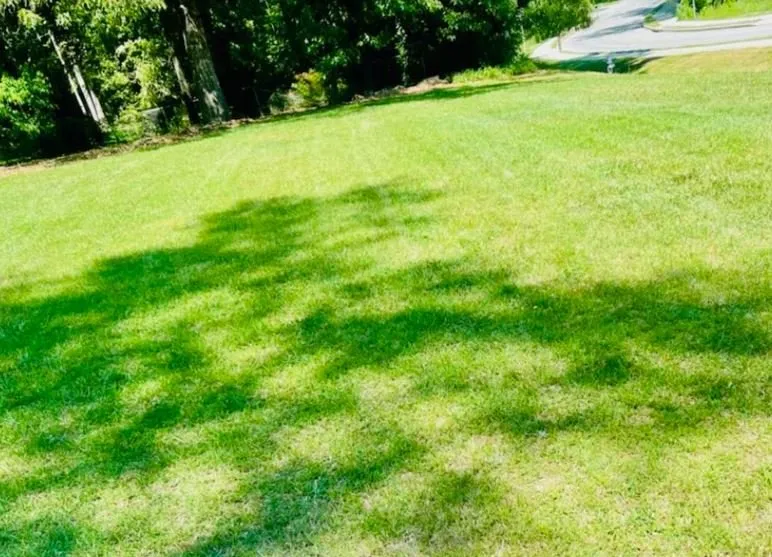 Reliable landscape installation in Buford, GA - Lanier South Lawn Care