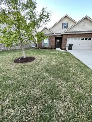 Laniers Lawn Care Logo