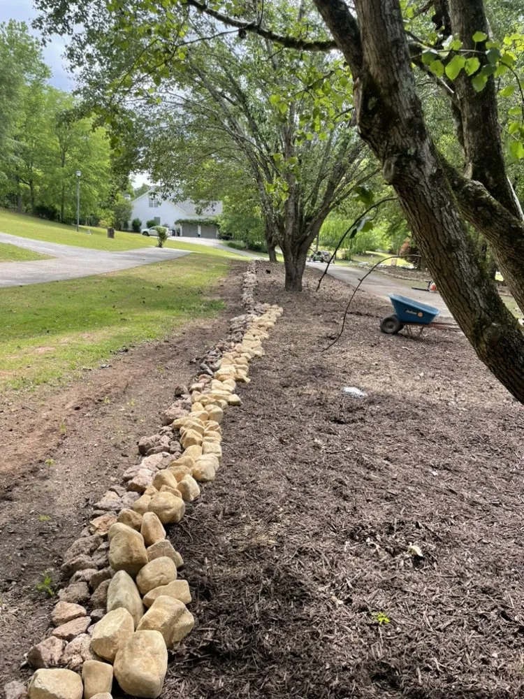Local yard cleanup service for year-round maintenance across Sharpsburg, GA - Lanier’s lawn care