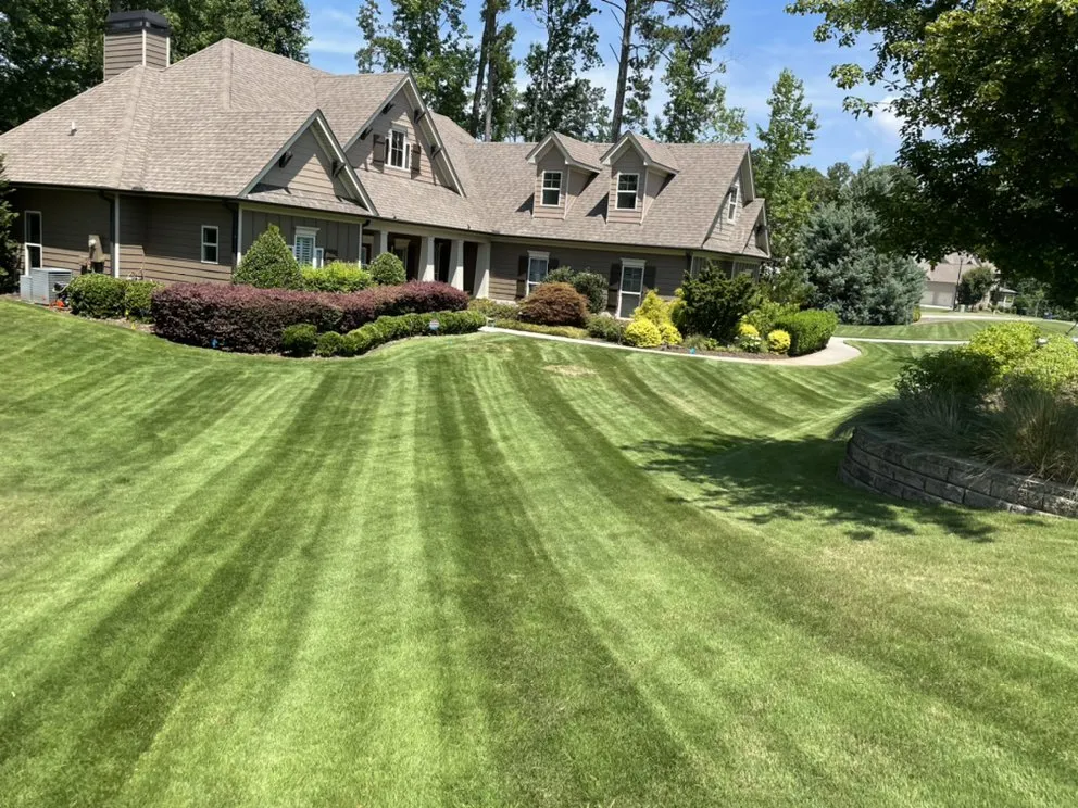 Professional yard cleanup service with custom design in Sharpsburg, GA by Lanier’s lawn care