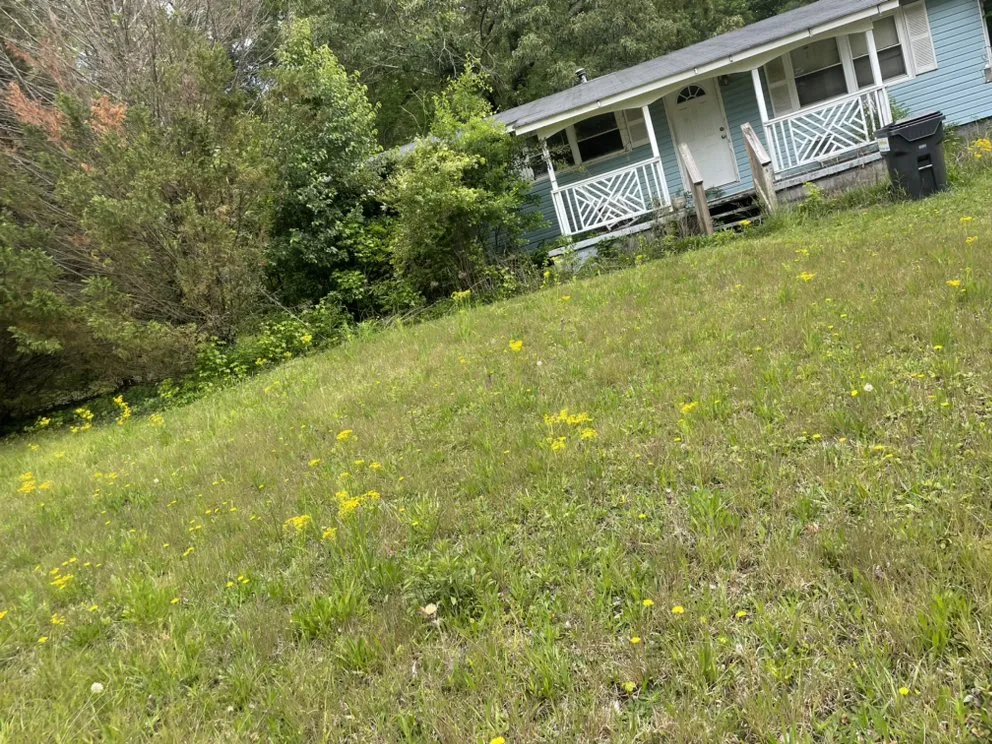 Reliable landscaping services in Sharpsburg, GA by Lanier’s lawn care