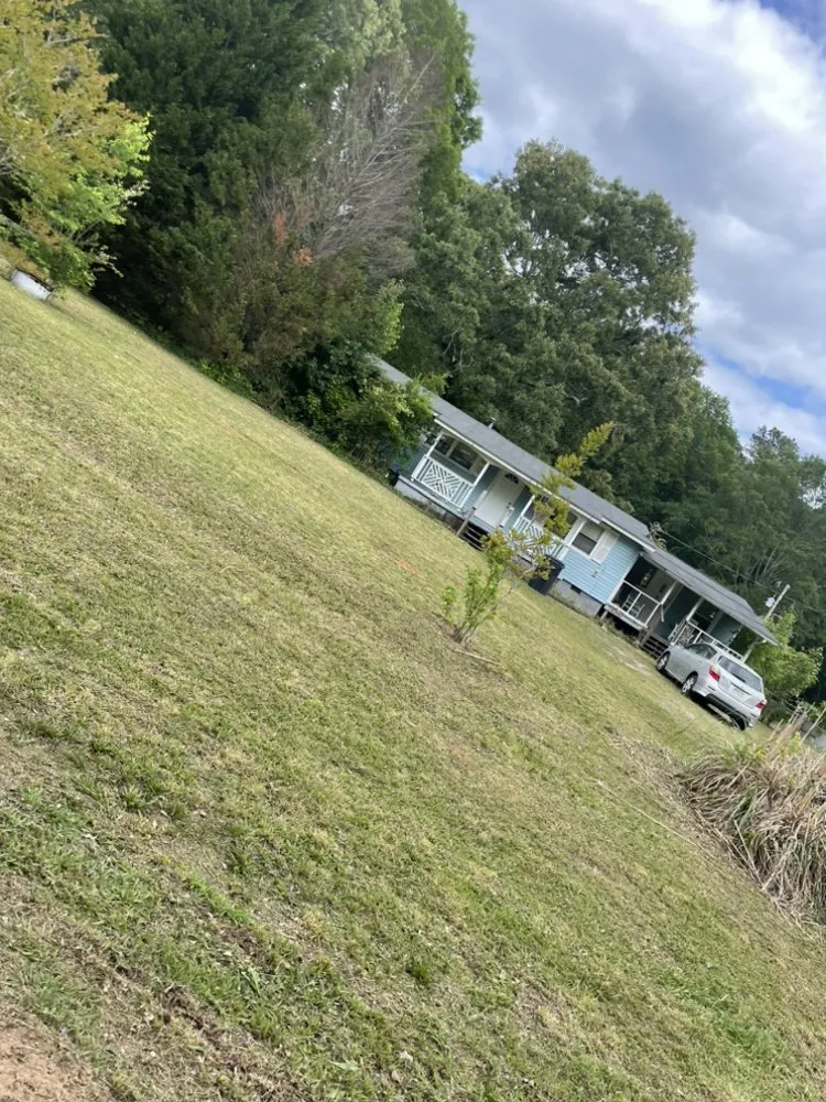 Trusted outdoor landscaping experts serving Sharpsburg, GA - Lanier’s lawn care