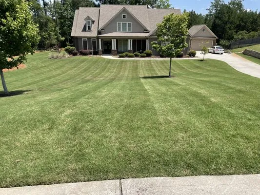 Lanier’s lawn care Logo