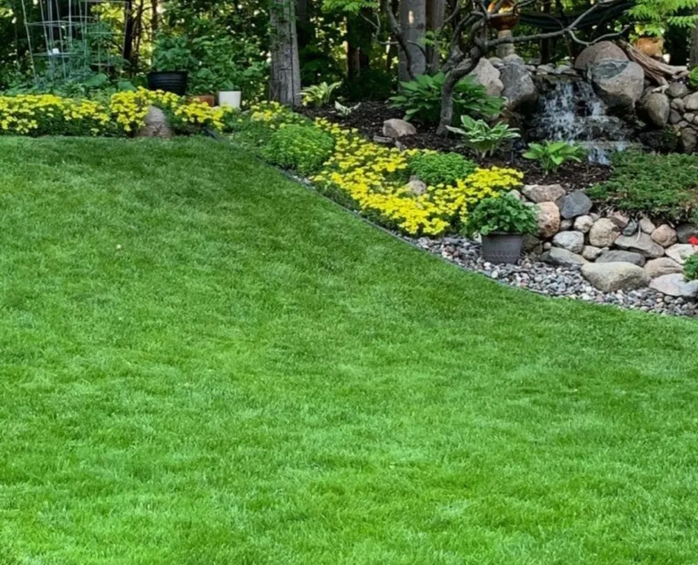 Local landscape installation in Lake City, SC by Laniers lawn services