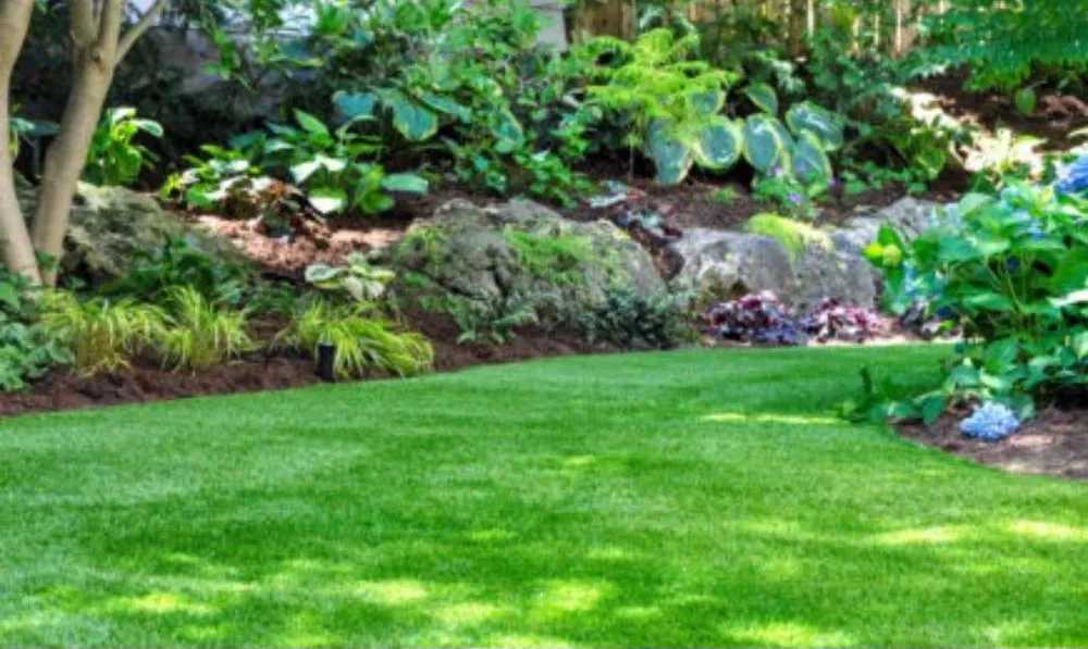 Top-rated outdoor landscaping in Lake City, SC - Laniers lawn services