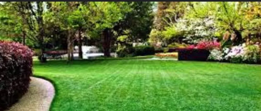 Trusted yard maintenance in Lake City, SC by Laniers lawn services