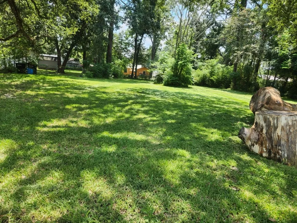 Local residential landscaping in New Iberia, LA - Lanie's Lawncare Services