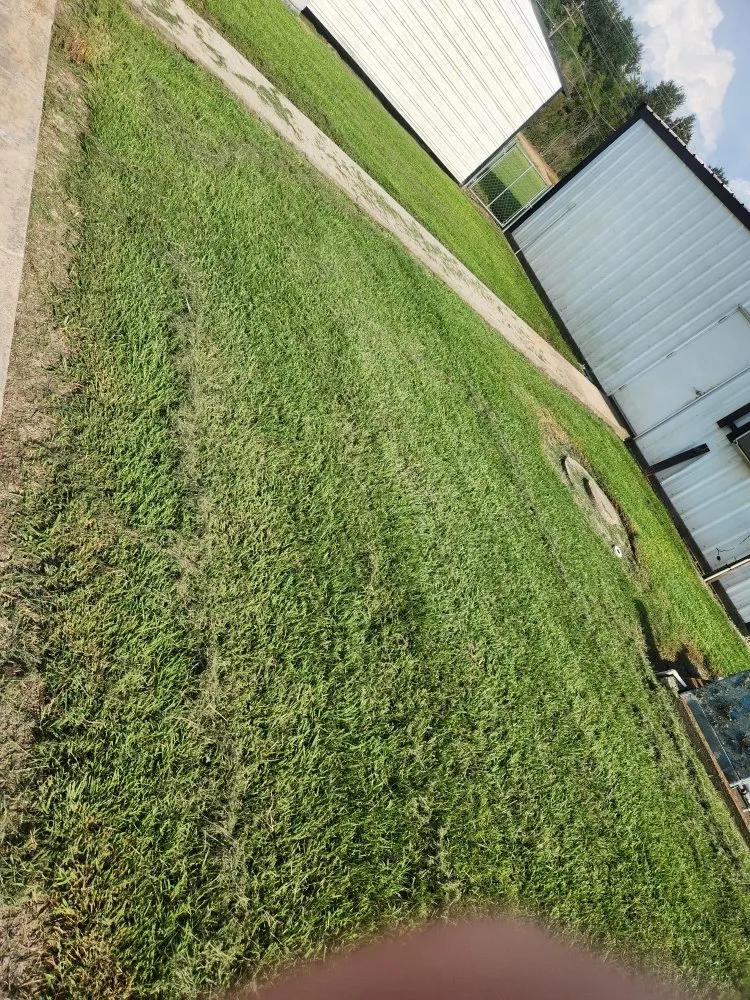 Reliable landscape installation in New Iberia, LA - Lanie's Lawncare Services